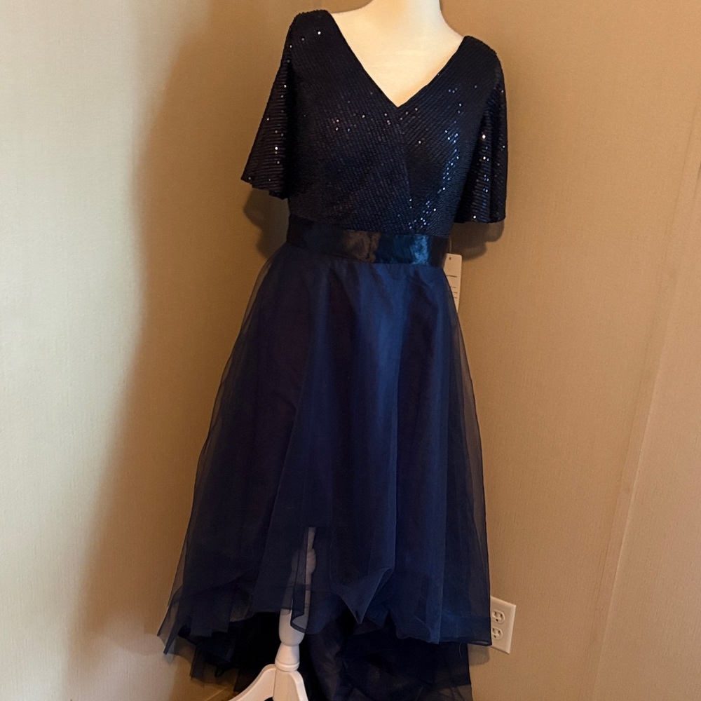 Elegant Navy Blue Sequin Dress